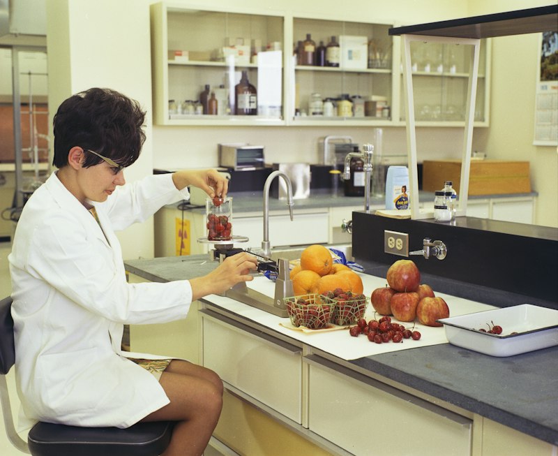 Científica trabajando en un laboratorio de alimentos